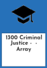 1300_Criminal_Justice